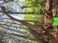 /album/fotogaleria-brazilia-zajazd-vy-a-my/brazilia-zajazd-82-jpg/